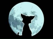 Фотография Батуриной Галины