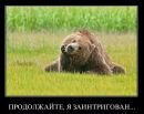 Фотография Ананьева Александра