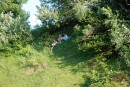 Алічка Безрука фотография #23 (источник - https://vk.com/id78120109)