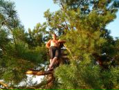 Фотография Гаевского Николая