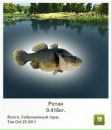 Макс Матвійчук фотография #28 (источник - https://vk.com/id133674320)