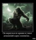 Євген Рябов фотография #48 (источник - https://vk.com/id140649311)