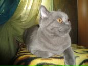 Фотография Леонидовны Евгении