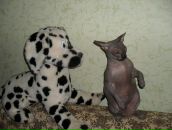 Фотография Туголуковой Галины