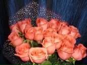 Фотография Ксении Ксении