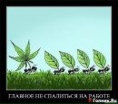 Діма Смірнов фотография #38 (источник - https://vk.com/id22931898)