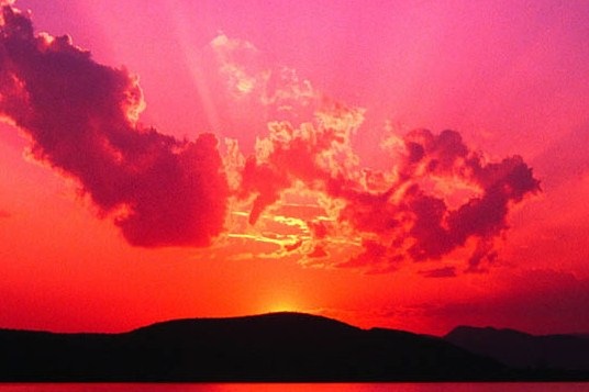 №15, Людмила Куприянчик №15, Людмила Куприянчик