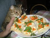 Дашка Модова фотография #26 (источник - https://vk.com/id2251602)