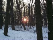 Сергій Олійник фотография #20 (источник - https://vk.com/id65729319)