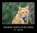 Іван Іванов фотография #23 (источник - https://vk.com/id12286885)