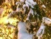 Ілюха Новосад фотография #8 (источник - https://vk.com/id137410749)