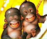 Фотография Краева Артёма