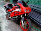 Фотография Проничева Серёжи