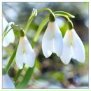 Фотография Селюк Евгении