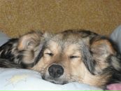 Жулік Жулік фотография #1