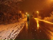 Фотография Санниковой Ани