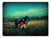 Фотография Терещенко Татьяны