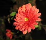 Тетяна Мацібора фотография #22 (источник - https://vk.com/id40878644)