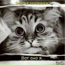 Фотография Евдокимова Владислава
