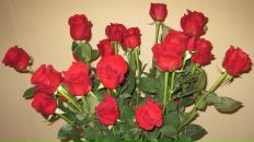 Инна И фотография #40 (источник - https://vk.com/id1366693)