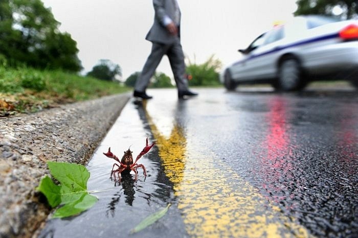 Сергей Иванов фотография #41