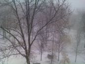 Вікторія Литовка фотография #24 (источник - https://vk.com/id42344904)