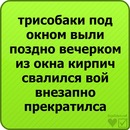 Ярослав Піддубний фотография #4 (источник - https://vk.com/id77498332)