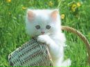 Юлія Тирпак фотография #4 (источник - https://vk.com/id151829145)