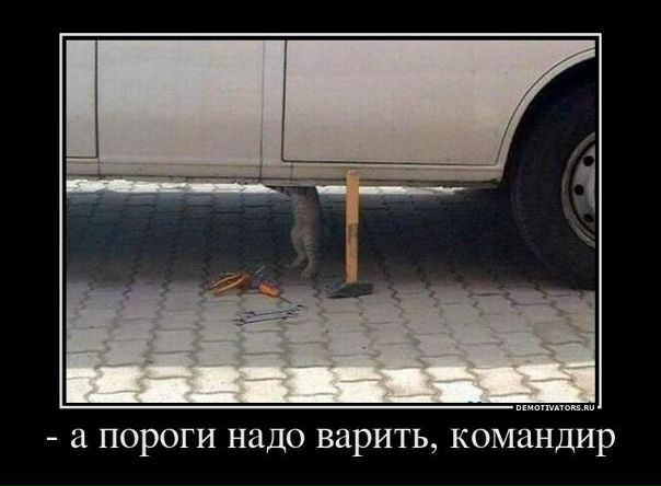 Илья Курсов фото №36