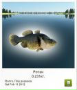 Андрій Качмарчик фотография #41 (источник - https://vk.com/id112012976)