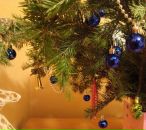 Фотография Горловой Анны