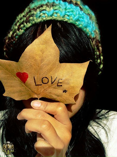 No Panic фото №2