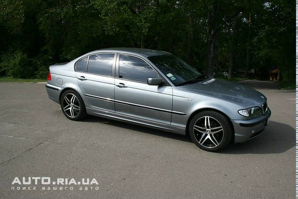 Dsg Dgs фото №1