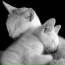 Фотография Бубновой Юлии