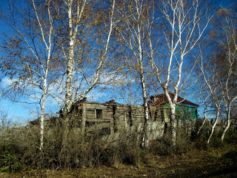 Марина Василенко фотография #27