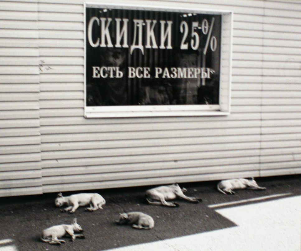 Артем Котт фотография #40