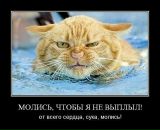 Фотография Света-иванова Владимира