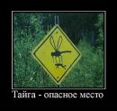 Фотография Соловьева Дениса