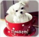 Марина =) фотография #36 (источник - https://vk.com/id138776043)