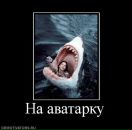 Фотография Максимова Игоря