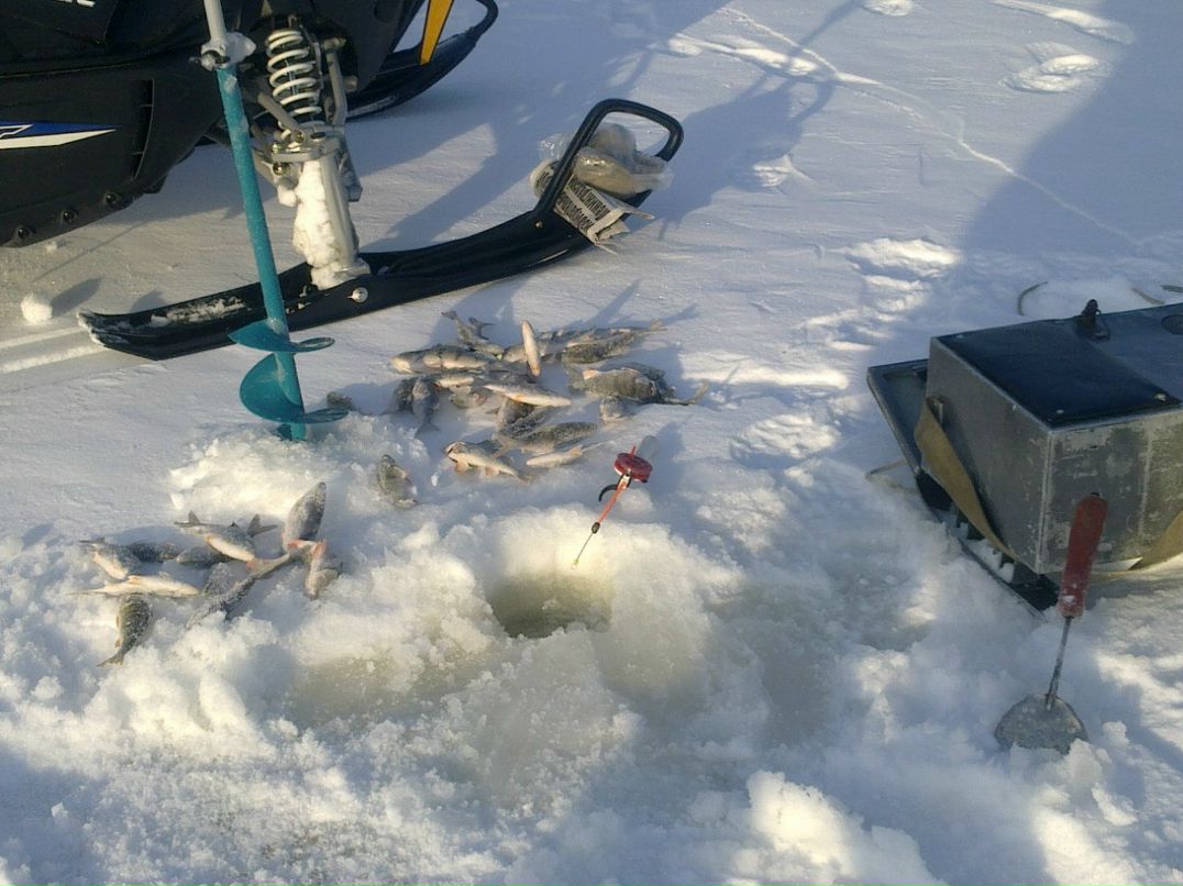 Диман Минаков фотография #46