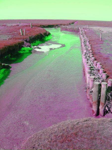 Лев Пак фото №35