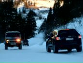 Олександр Лісовий фотография #44 (источник - https://vk.com/id22697210)