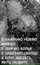 Фотография Морозовой Анастасии