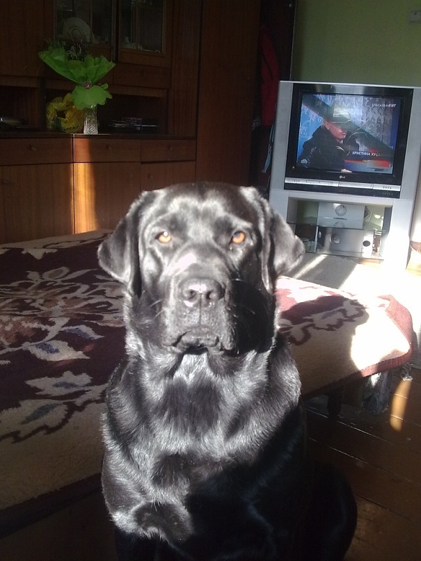 Андрей Студнев фотография #39