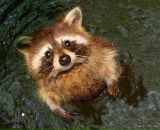 Фотография Поповой Оксаны