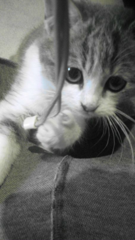 Mr Norbert фотография #20