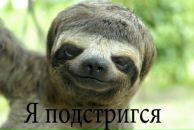 Віталій Поліщук фотография #23 (источник - https://vk.com/id239201553)