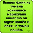 Міша Кибукевич фотография #3 (источник - https://vk.com/id118453296)