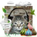 Alex Fox фотография #26 (источник - https://vk.com/id40662)